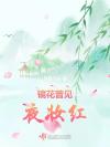 古穿今：席少你的小祖宗躺赢了